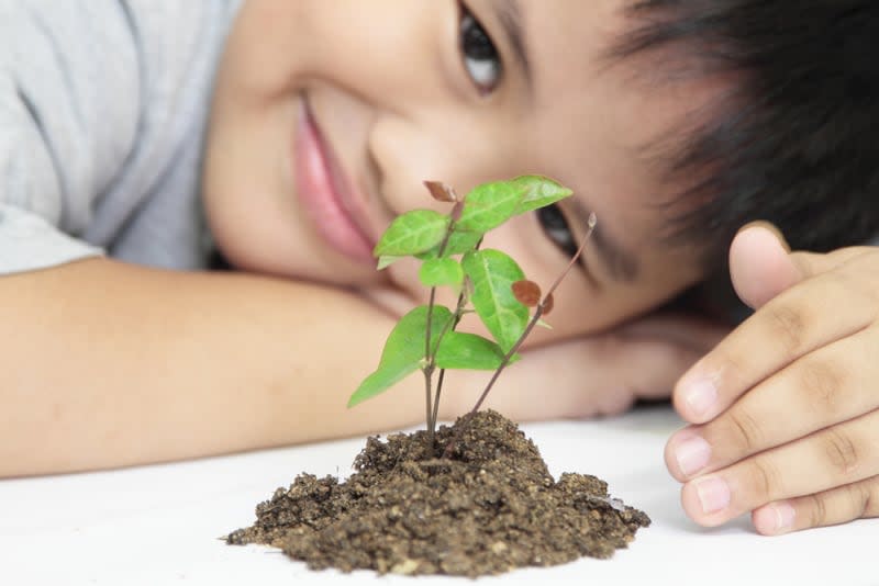 Niño observanso una plantica recien sembrada