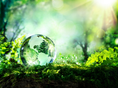 planeta verde