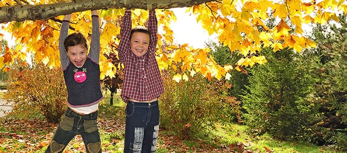 Dos niños se divierten mientras cuelgan con sus brazos de la rama de un árbol