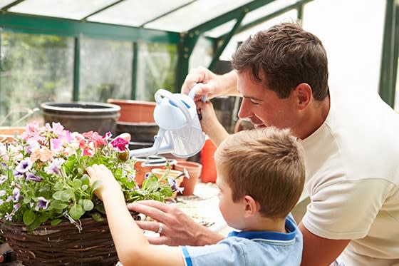 Padre e hijo riegan una planta