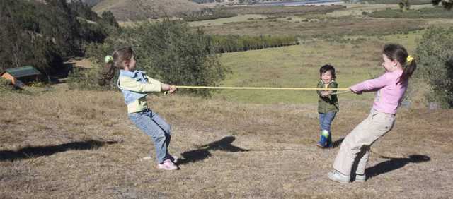 Diviértete con tus hijos pequeños jugando al Zorro Astuto. | Fab